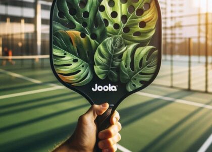 Bảo vệ: Mẫu hình chiến thuật Pickleball